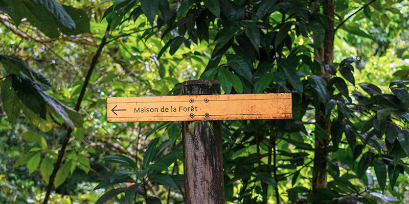 Quelles cartes de randonnées préparer pour un séjour en Guadeloupe ?