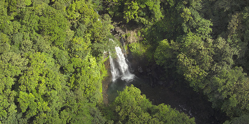 Que faire au Parc National de Guadeloupe ?